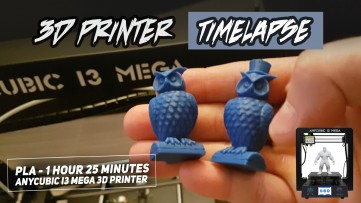 FIRST 3D PRINT & Timelapse on AnyCubic I3 MEGA 3D Printer - 3D Printed Owls