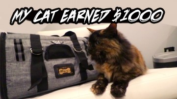 Promo That Earned My Cat $1000...Review of TOURIT Pet Carrier - Airport Approved Cat / Dog Bag