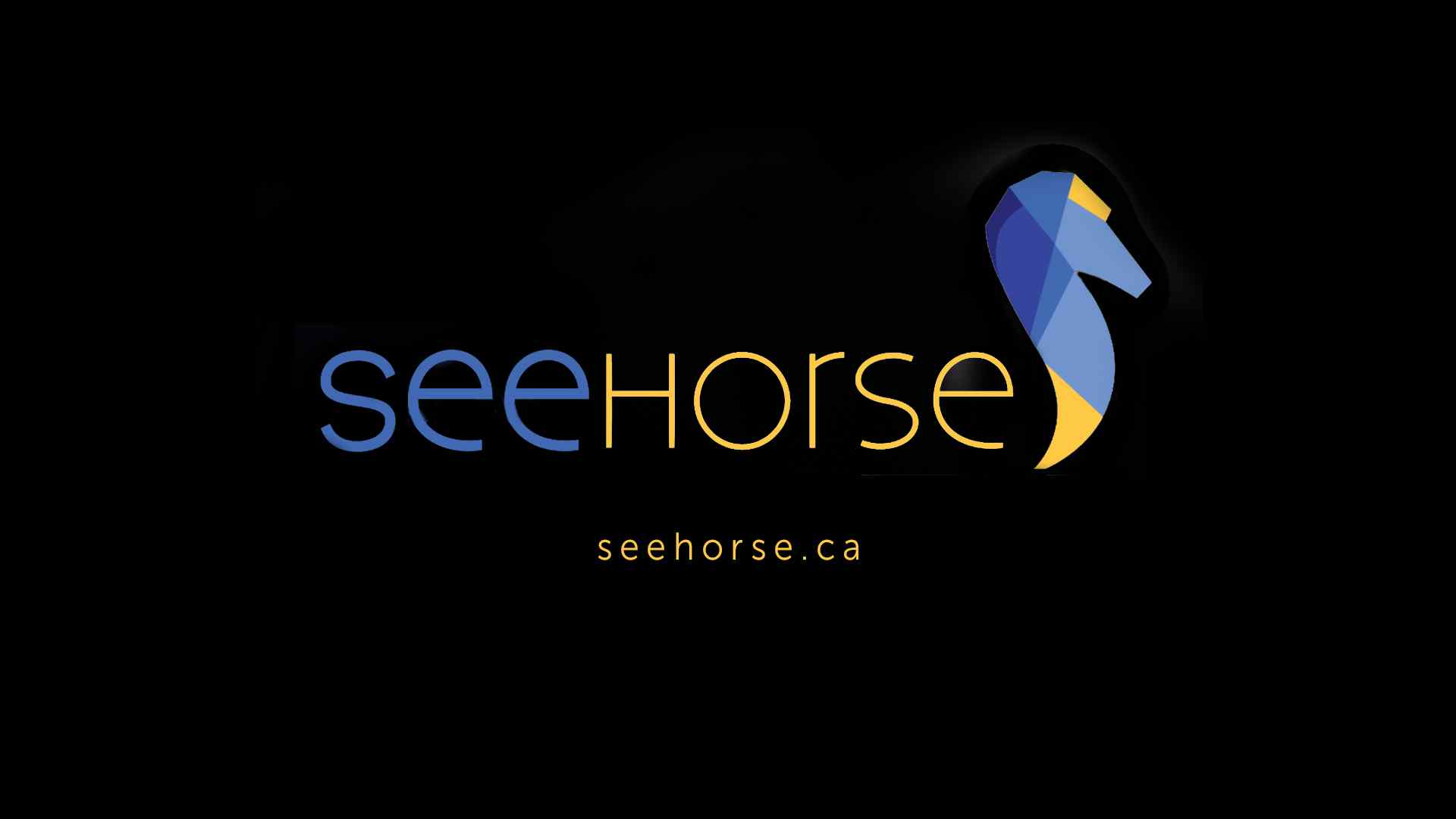 SeeHorse - A Wearable Designed for the Equestrian Market